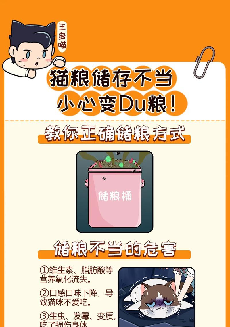 猫粮和零食的正确储存方法是什么？