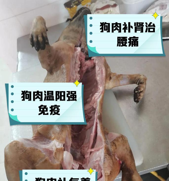宠物狗肉如何烹饪美味？狗肉的健康吃法有哪些？