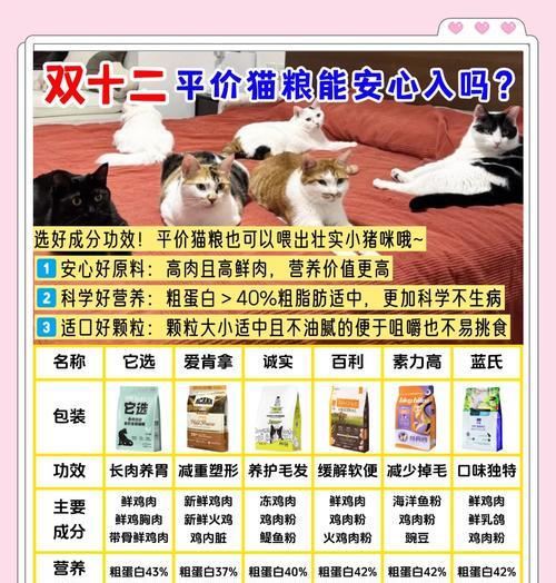 重庆领养猫买猫粮条件是什么?领养猫咪需要满足哪些条件?