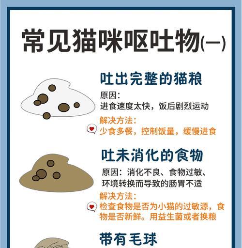 猫吐出猫粮食物怎么办?如何处理和预防?