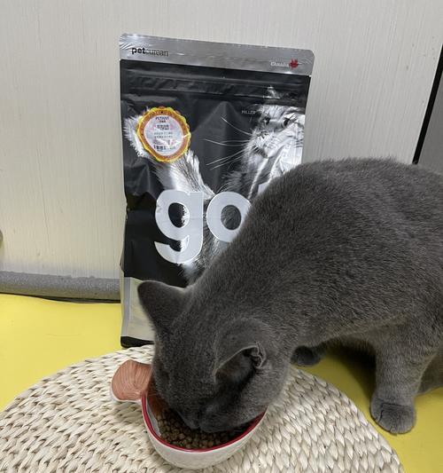 猫粮导致猫咪肚子发胀的可能原因是什么?