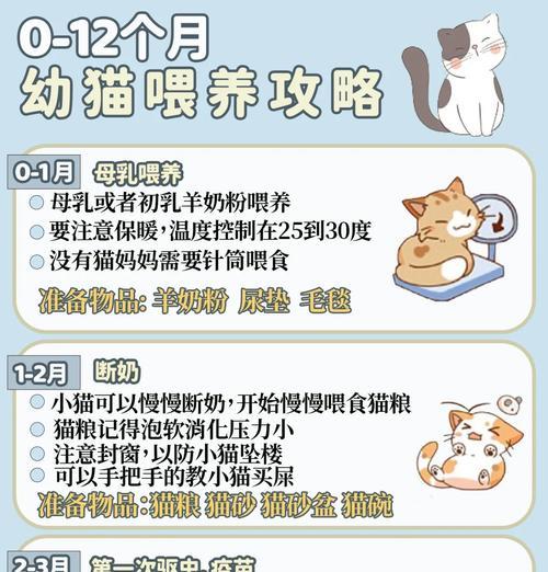 猫咪不能只吃猫粮怎么喂养?