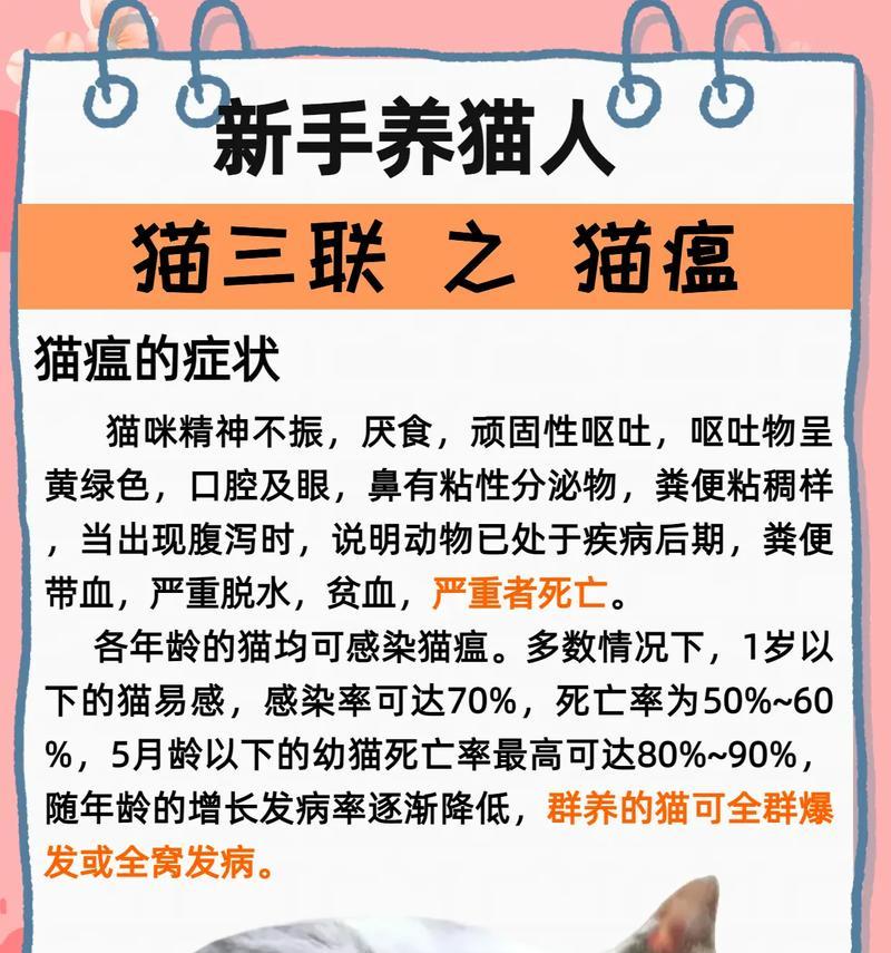 猫咪几天不吃猫粮怎么办?可能的原因和应对措施是什么?