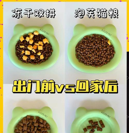 猫咪为何对猫粮的味道不感兴趣？如何提高猫粮的吸引力？