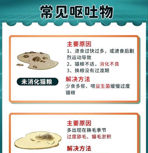 猫咪为什么会吐出猫粮?可能的原因有哪些?