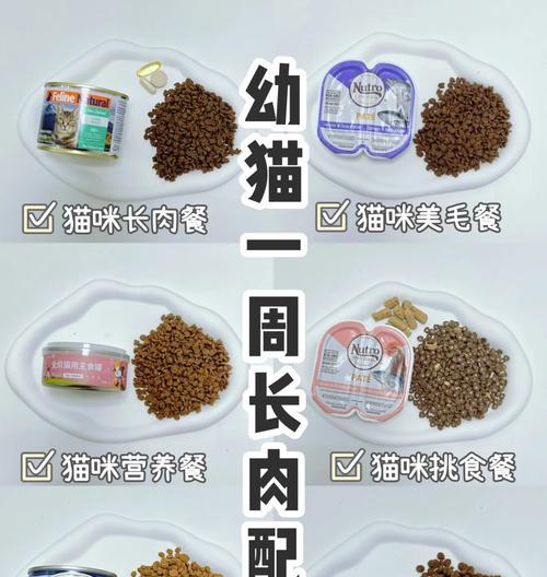 小猫如何正确食用混合口味猫粮？
