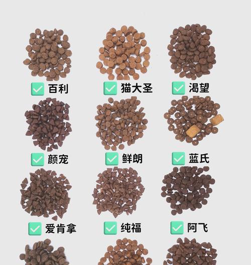 抗过敏猫粮的正确食用方法是什么?有哪些注意事项?