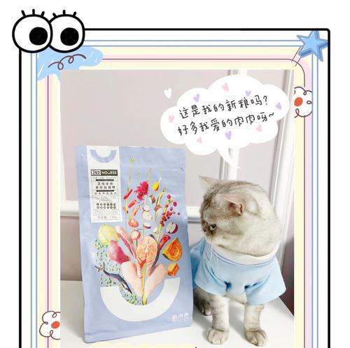 猫粮盆如何自己制作？步骤是什么？