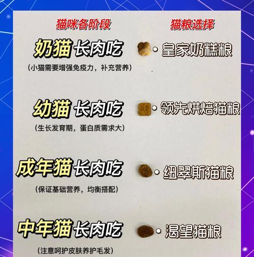 34岁猫猫吃什么猫粮比较好？如何选择适合年龄的猫粮？