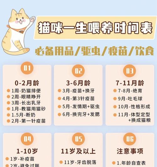 猫咪达到3斤需要多长时间？正确的喂养方法是什么？