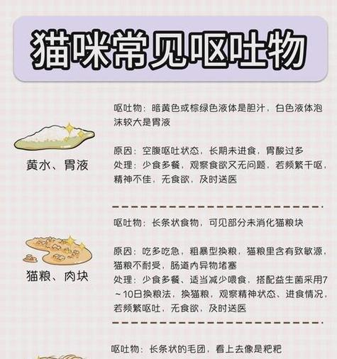 小猫吐后不再吃猫粮怎么回事？