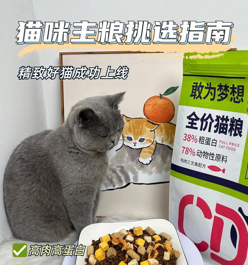 猫刚接触猫粮就叫唤怎么回事?猫粮适应期的常见问题
