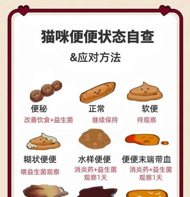 猫在粮里拉屎怎么处理?如何防止类似情况发生?