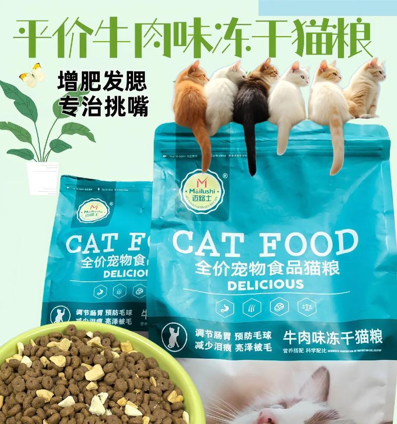 哪里能买到适合猫咪的优质猫粮?