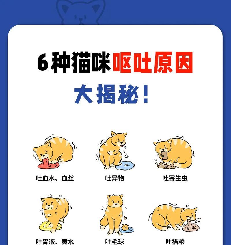猫咪不吃猫粮还呕吐该如何处理?