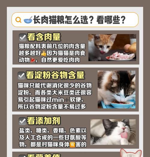 猫爱吃鸡胸肉多过猫粮怎么办?如何平衡饮食?