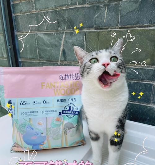 猫粮时被雷声吓到应如何安抚？