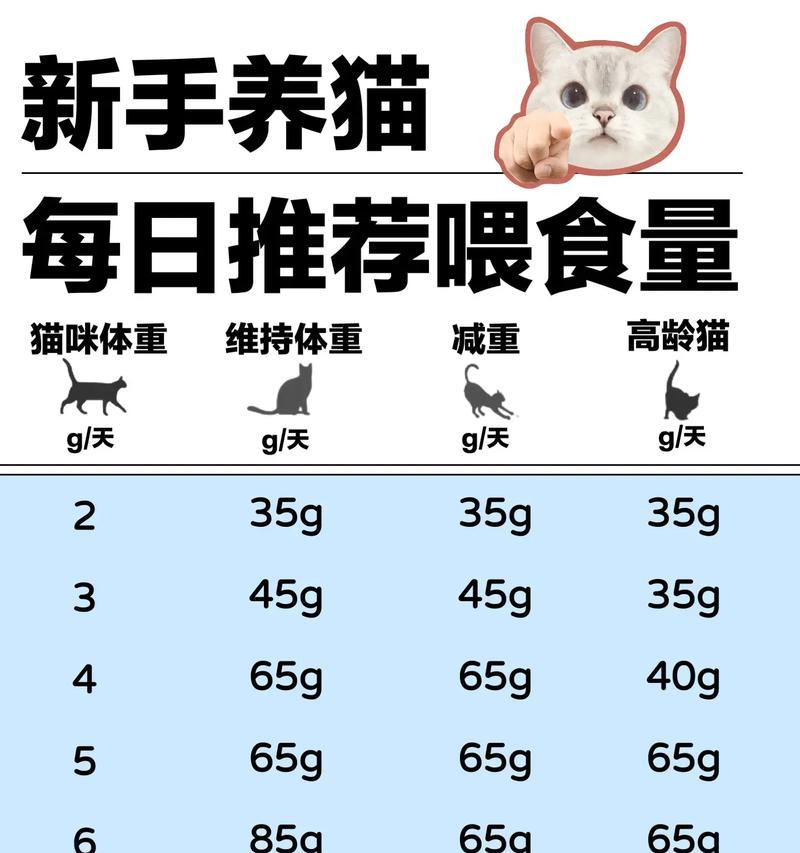 三个月大猫咪如何正确喂食猫粮？需要注意什么？