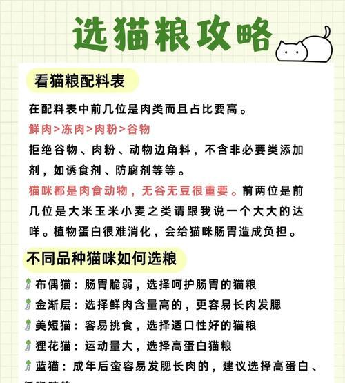 8周小猫应该吃什么?猫粮选择有哪些标准?