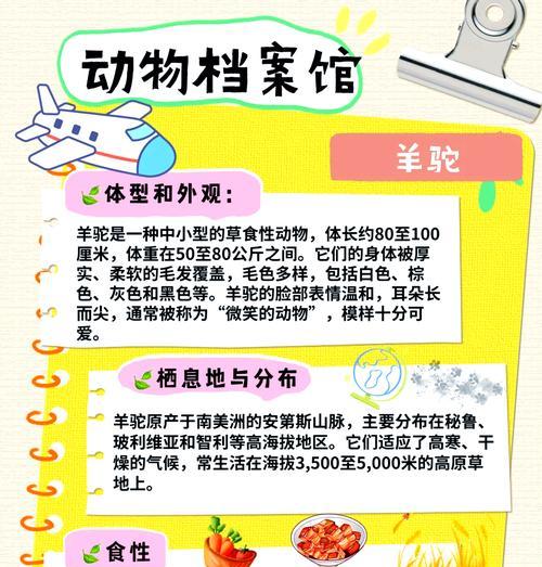 羊驼守护资料的含义是什么？它代表了什么？