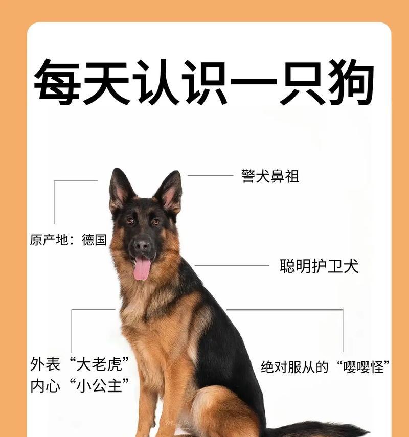 长清德牧的出售价格是多少?购买时应该注意什么?