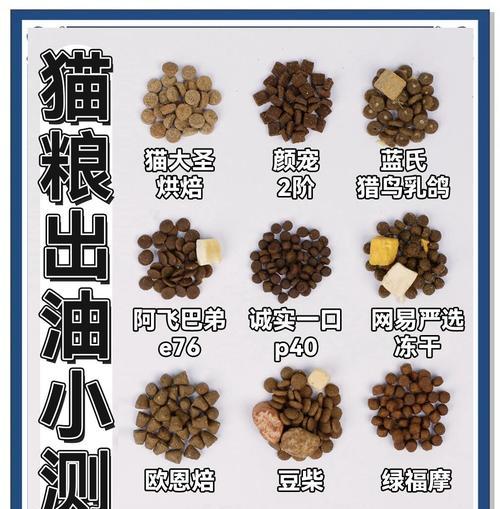 猫粮为何会感觉咸和油腻?这种猫粮对猫咪健康有何影响?
