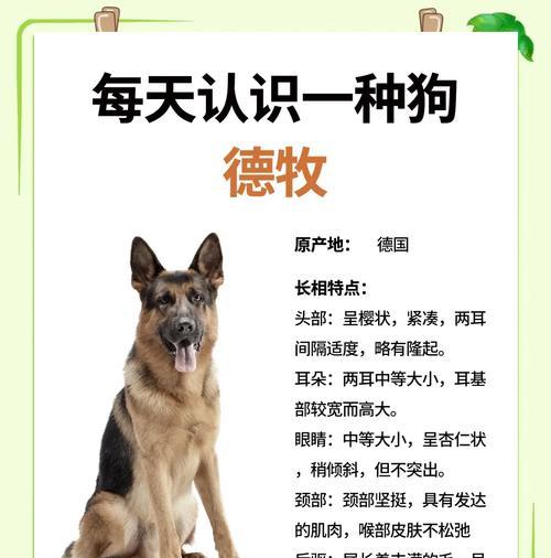 四个月大的德牧体重标准是多少？瘦弱的原因有哪些？