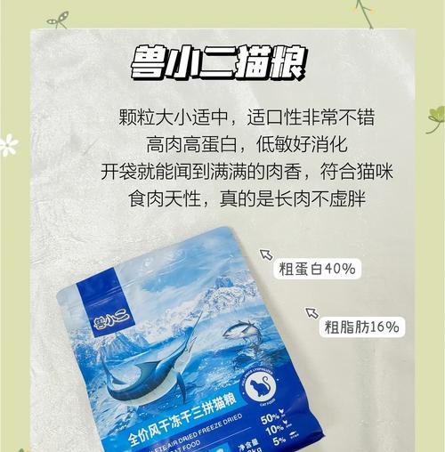 定点喂食猫粮的正确方法是什么?如何训练猫咪?