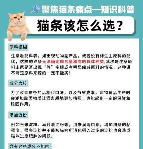 小猫如何正确食用猫条、猫餐和猫粮？