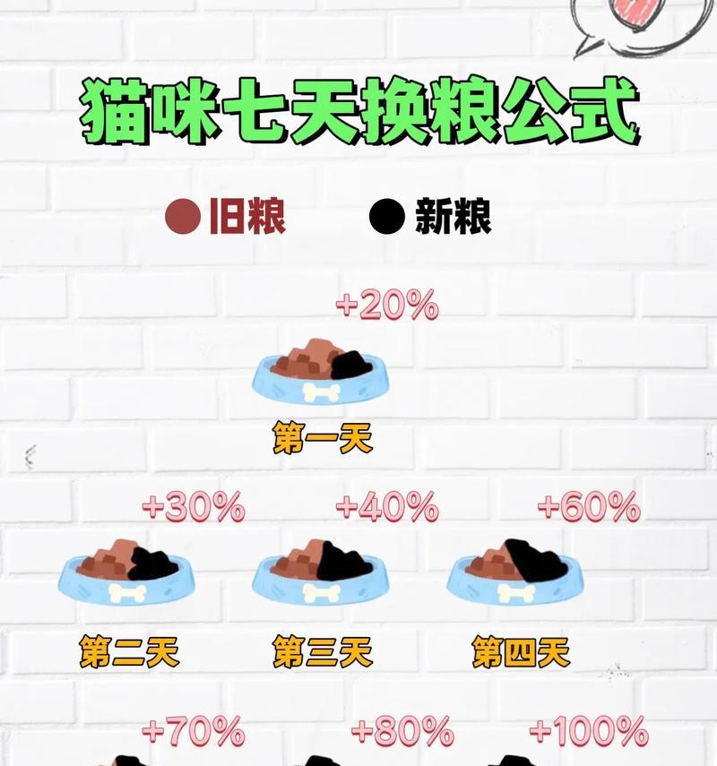更换猫粮时应如何计算比例？转换过程中的注意事项是什么？