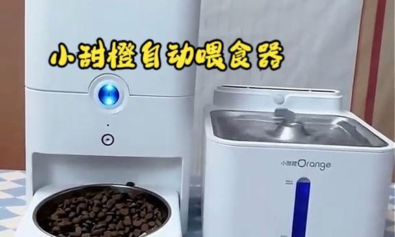自动喂猫粮的正确使用方法是什么?