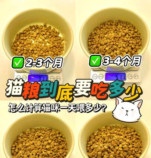 哪些猫粮有助于小猫快速成长?小猫成长期的营养需求是什么?