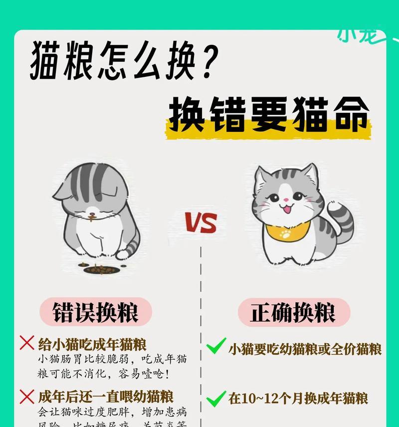 家园小猫换猫粮的正确方法是什么?