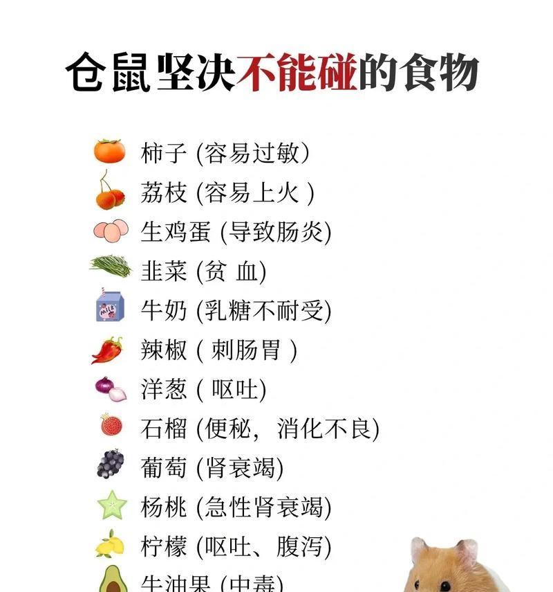 仓鼠能吃的和不能吃的食物有哪些？如何正确喂养？