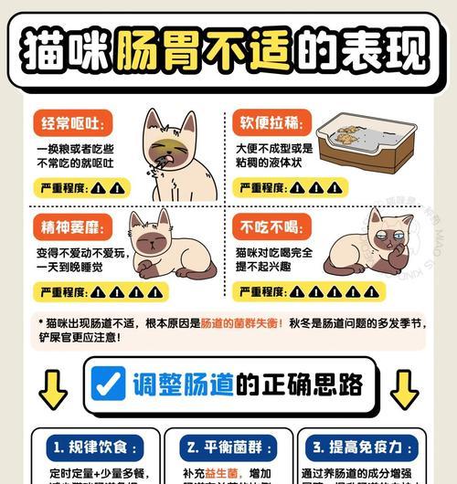 猫咪换粮后出现软便？可能的原因及解决方法是什么？