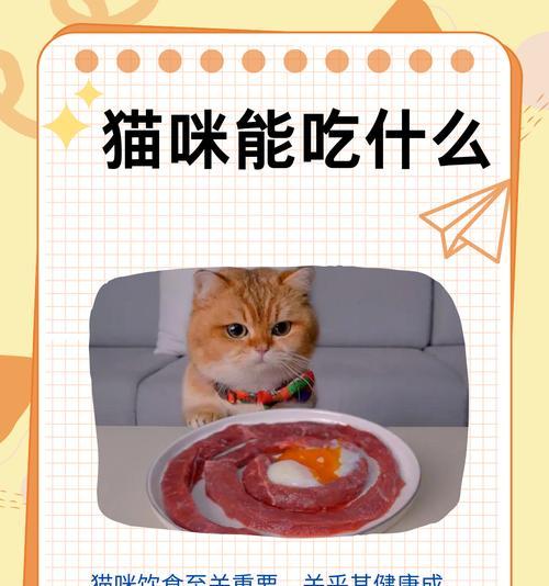 如何让猫咪均衡饮食?