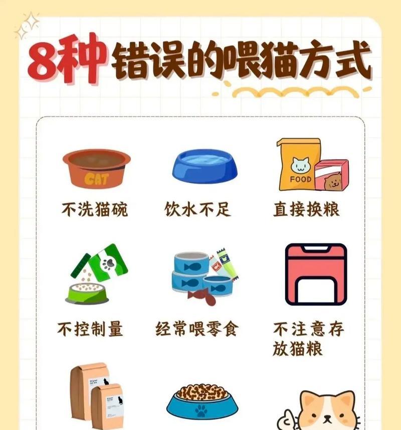 小猫只喝水不吃猫粮怎么办?可能的原因有哪些?