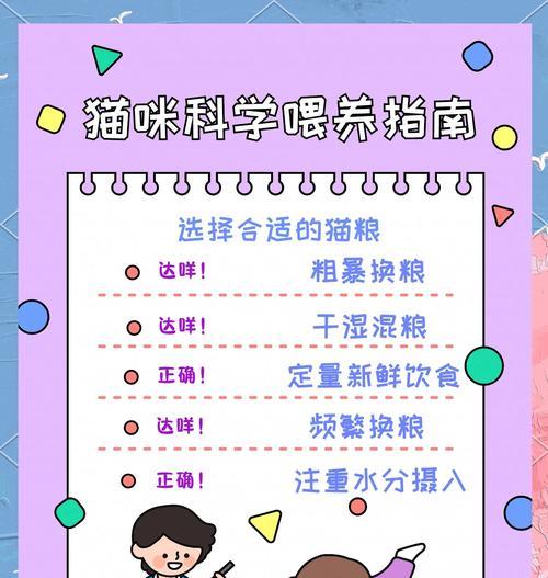 如何让猫咪快速吃完猫粮?喂食技巧有哪些?