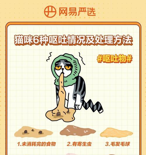 猫咪食用新旧猫粮后呕吐应如何应对?