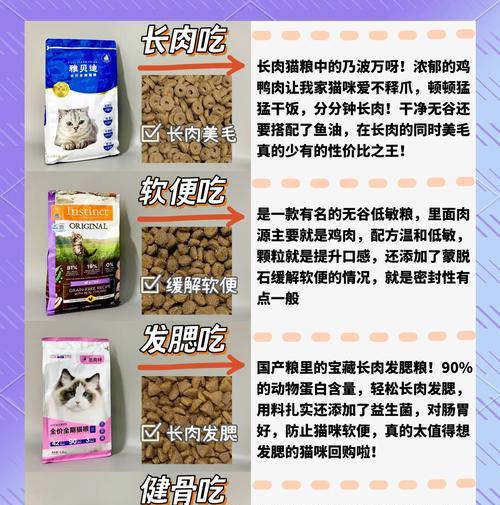 长条形猫粮的正确喂食方法是什么?