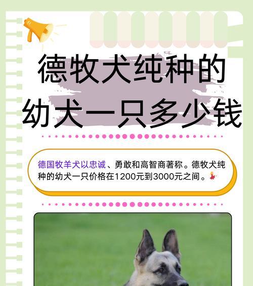 德牧骨关节钙片有用吗多少钱？如何选择合适的钙片？