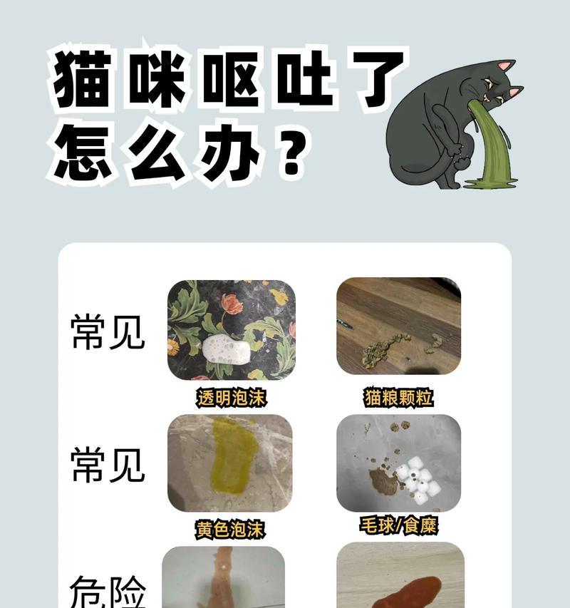 猫咪呕吐时会吞下猫粮吗?呕吐后应如何处理?