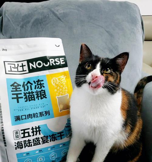 小猫吃猫粮是否需要搭配冻干？冻干对小猫成长有何影响？