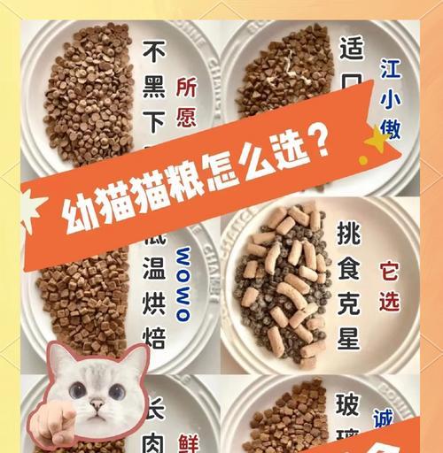 幼猫粮和离乳期猫粮有何不同？如何选择合适的猫粮？