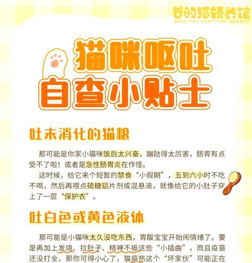 猫咪频繁呕吐猫粮该如何处理及用药建议？