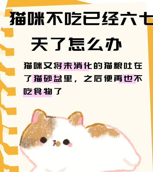 猫闻后舔嘴不吃猫粮怎么办？