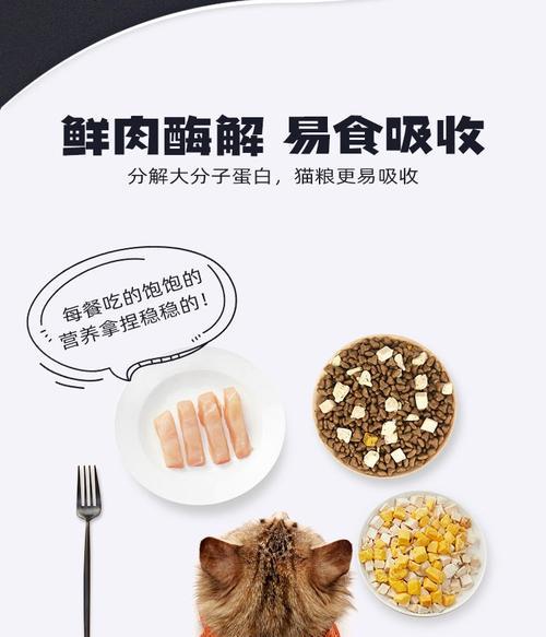 三拼猫粮的最佳储存方法是什么?