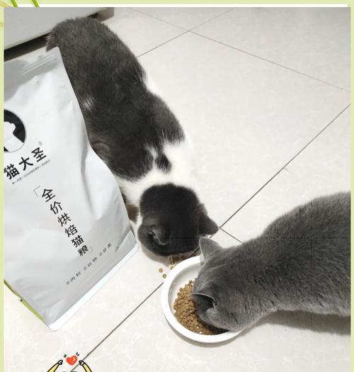 为何吃烘焙猫粮后猫咪嘴不臭?烘焙猫粮有何特别之处?