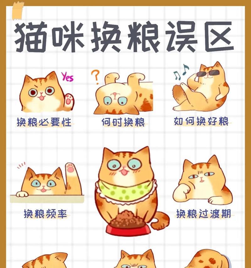 猫咪绝食时如何正确喂食猫粮?