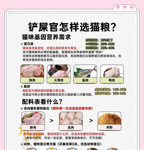 猫咪偏爱猫粮的原因是什么?